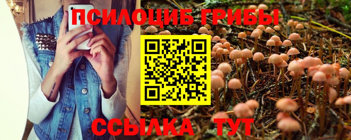 Галлюциногенные грибы MAGIC MUSHROOMS Зерноград