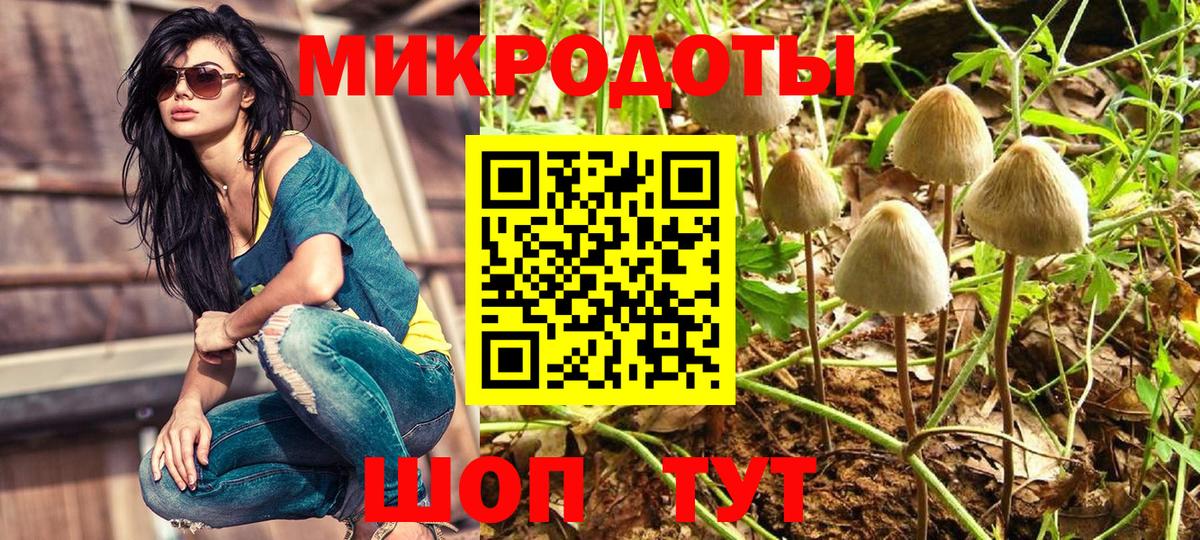Галлюциногенные грибы ЛСД  Псилоцибиновые грибы мухоморы  Вход с VPN  Зерноград 